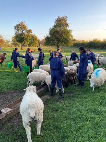 Farm Trip - Gallery 4 - image 19