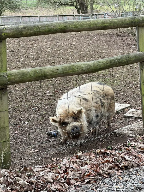 Gallery - created at 2023-02-28 20:50:59 - image 4 Gallery - created at 2023-02-28 20:50:59 - image 4