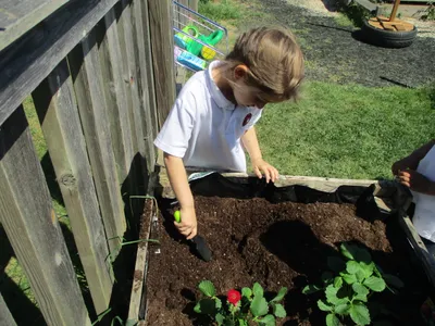 Planting - image 15