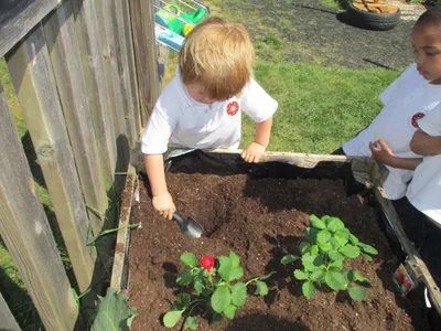 Planting - image 5