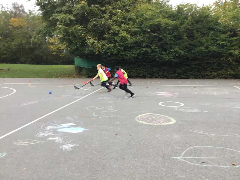 Hockey - image 5 Hockey - image 5