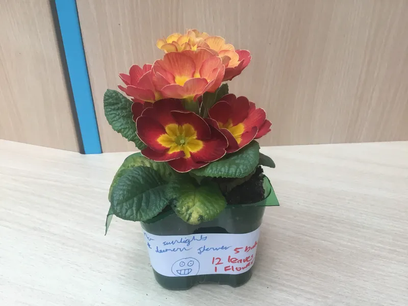 Gallery - created at 2021-04-16 07:58:15 - image 1 Gallery - created at 2021-04-16 07:58:15 - image 1