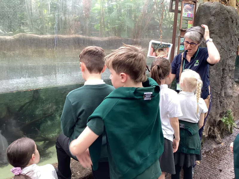 Gallery - created at 2025-03-14 10:11:21 - image 9 Gallery - created at 2025-03-14 10:11:21 - image 9