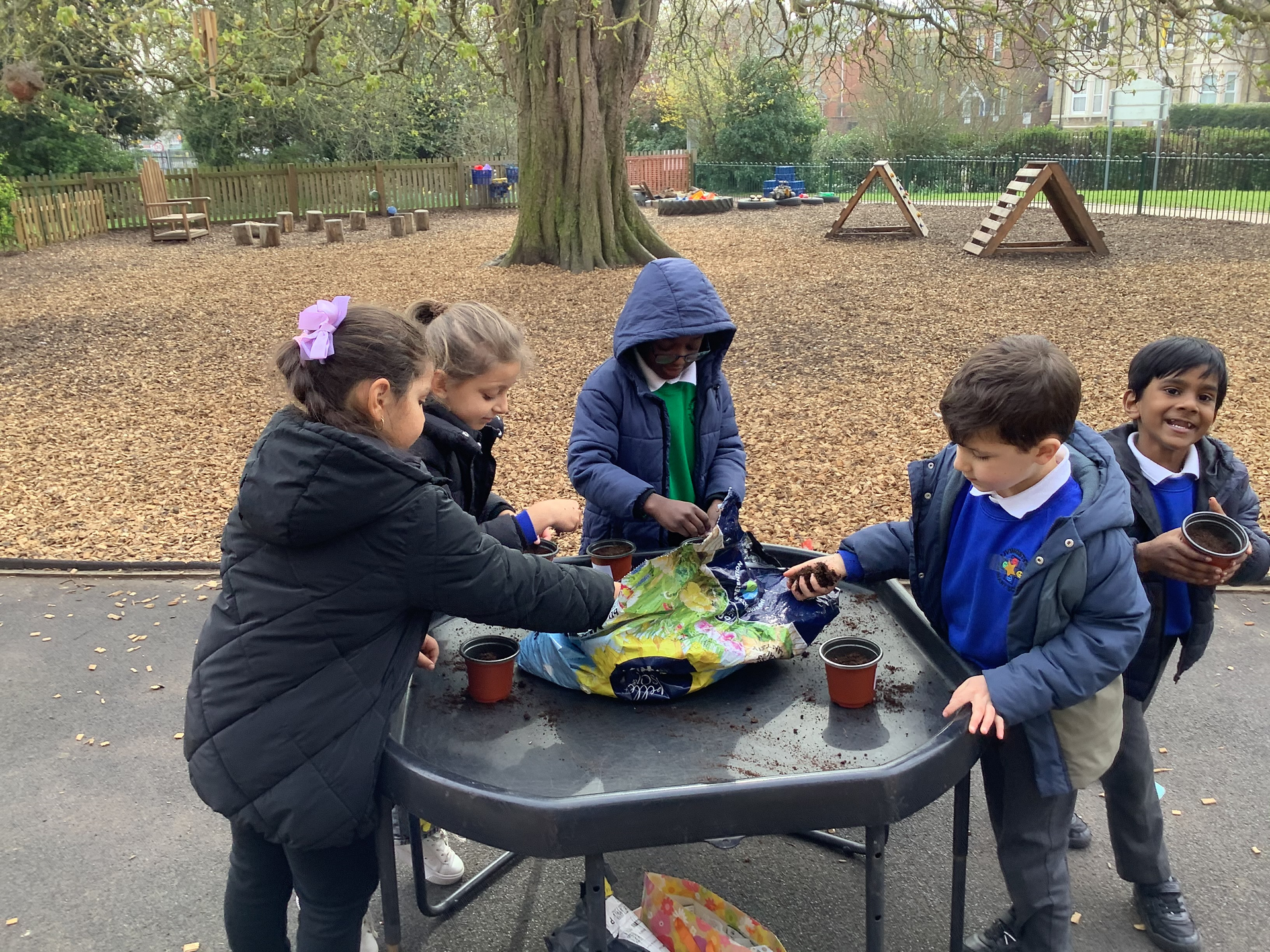 Time to get planting 