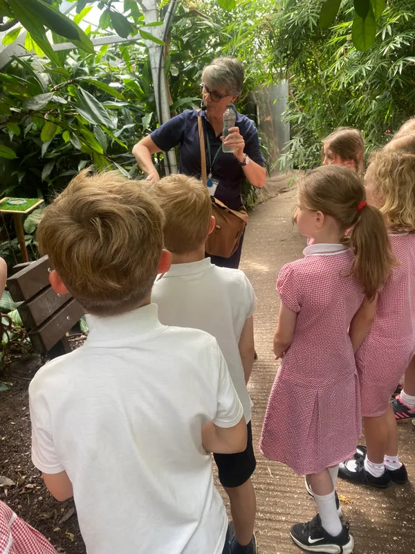 Gallery - created at 2025-06-20 13:57:48 - image 2