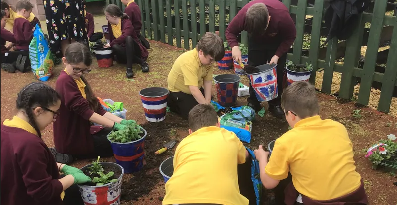 Gallery - created at 2023-03-24 15:06:35 - image 10