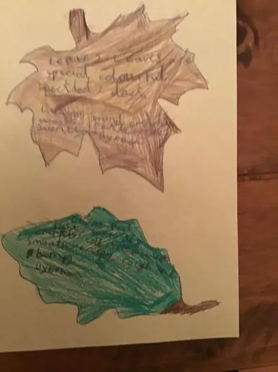 Gallery - created at 2020-12-01 10:12:28 - image 6