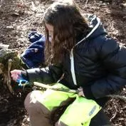 Forest School 152 - image 2 Forest School 152 - image 2