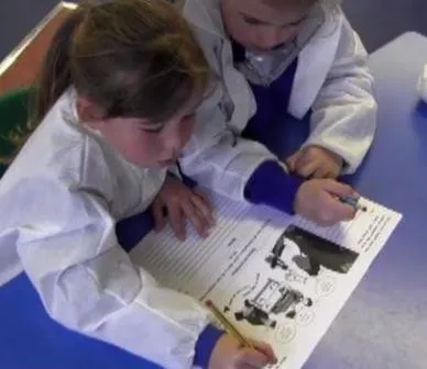 Gallery - created at 2018-01-17 17:01:08 - image 24