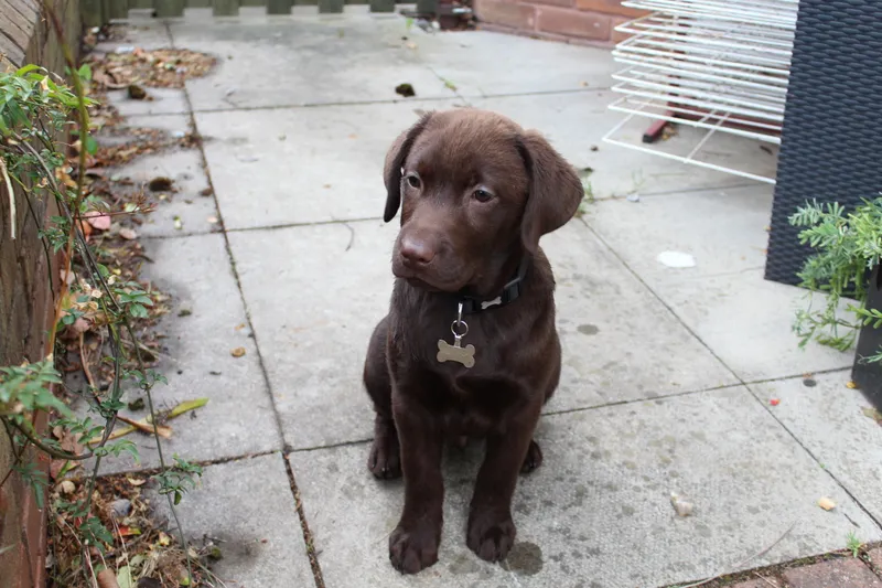 Gallery - created at 2021-06-30 13:57:57 - image 3