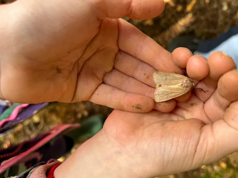 Gallery - created at 2022-10-10 18:05:29 - image 4