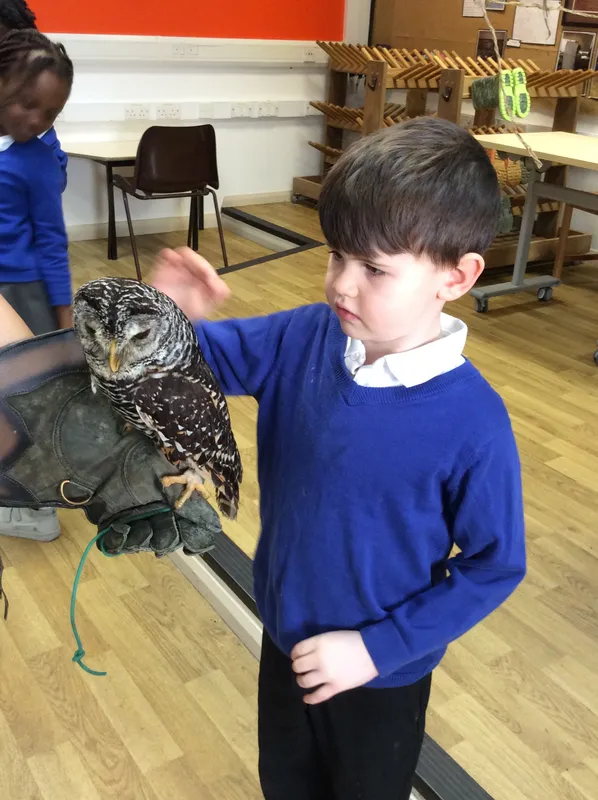 Gallery - created at 2024-02-26 17:15:57 - image 23 Gallery - created at 2024-02-26 17:15:57 - image 23