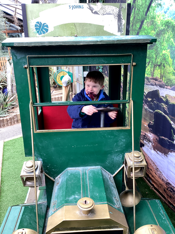 Yellow Class Trip to St John's 