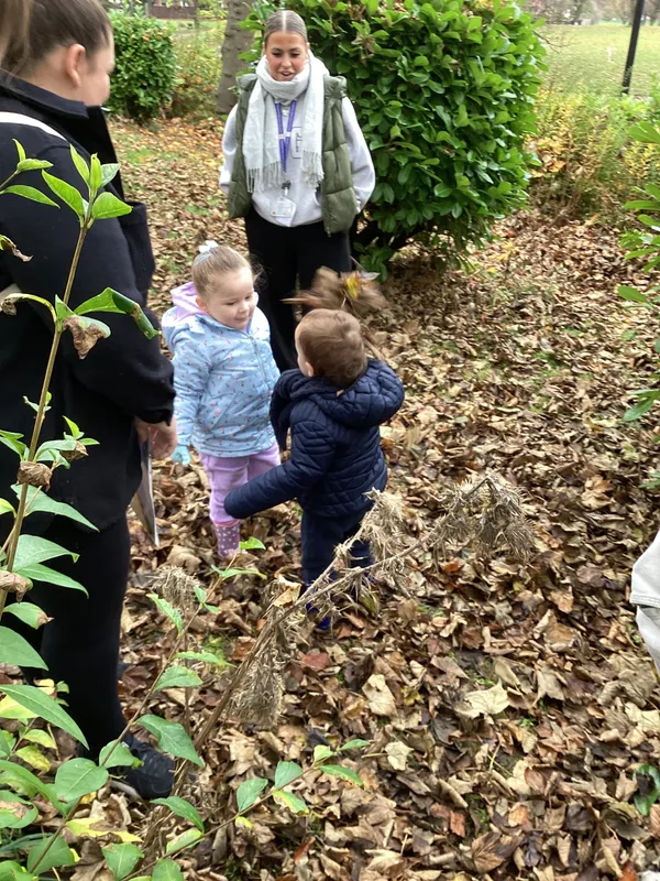 Gallery - created at 2024-11-08 10:10:59 - image 37 Gallery - created at 2024-11-08 10:10:59 - image 37