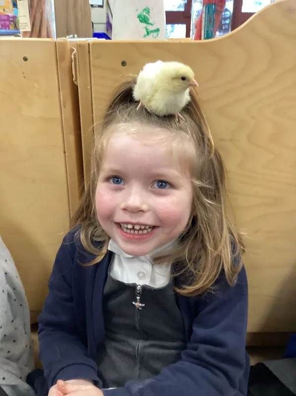 Gallery - created at 2024-07-04 16:12:30 - image 5