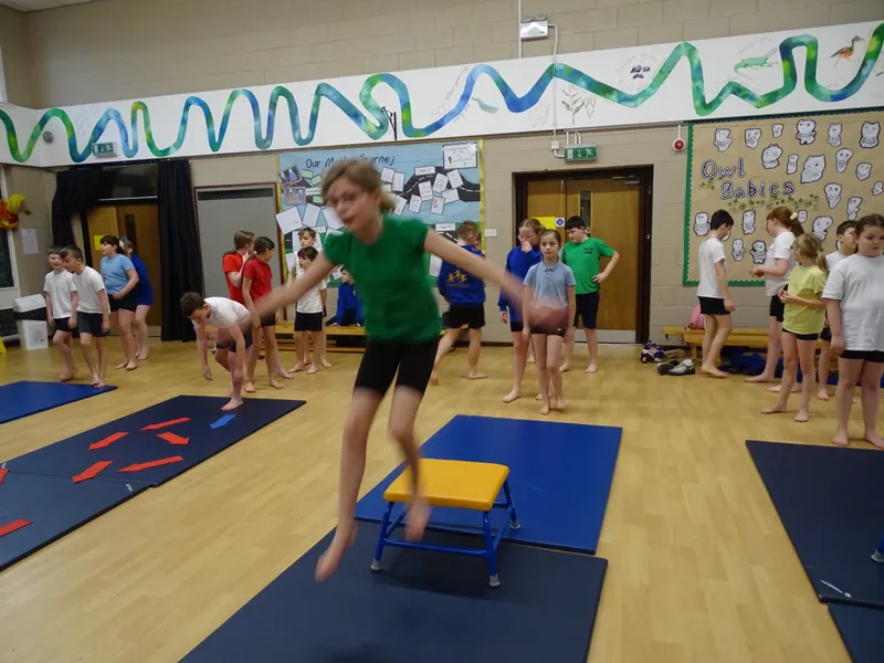 Ospreys Gymnastics Skills - image 10 Ospreys Gymnastics Skills - image 10