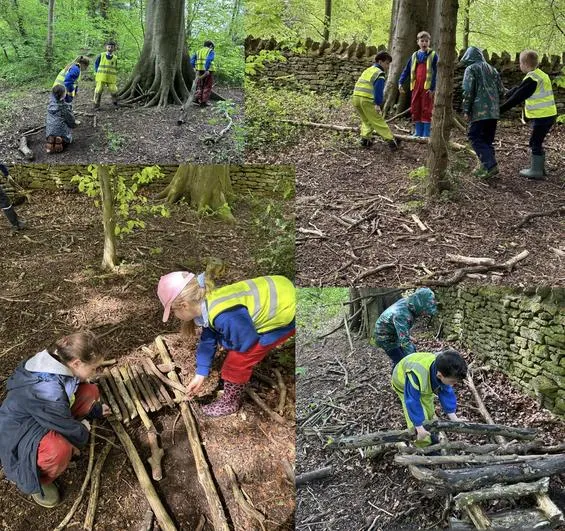 Summer 2023 - 10th May - Saplings - Food Chains and Bridges - image 3 Summer 2023 - 10th May - Saplings - Food Chains and Bridges - image 3