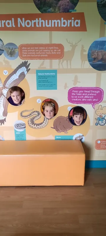 Whole School Trip to Newcastle  - image 21