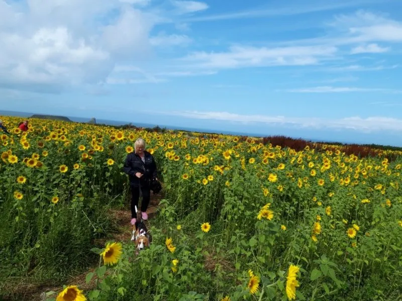 Our School - Bella 8 - image 1