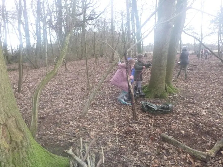 Gallery 7 - image 10