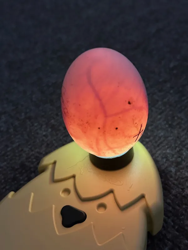 Gallery - created at 2025-05-02 12:16:59 - image 7