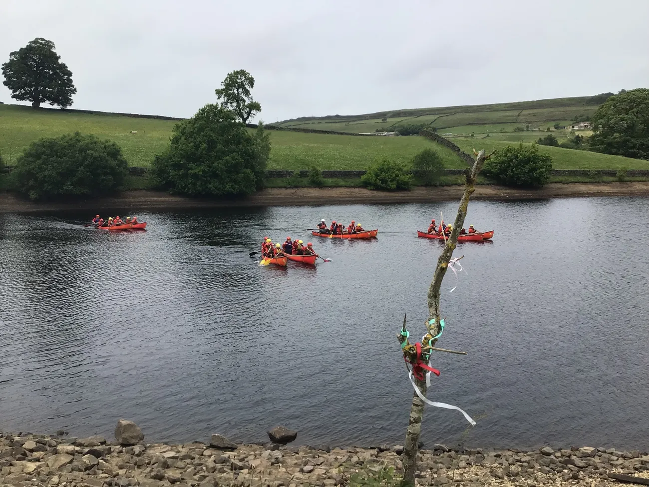 Gallery - created at 2022-06-10 10:14:21 - image 22 Gallery - created at 2022-06-10 10:14:21 - image 22