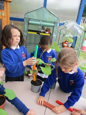Giant Beanstalks - image 24