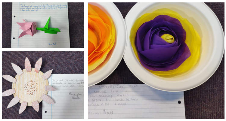 STEM CREATE A PLANT CHALLENGE