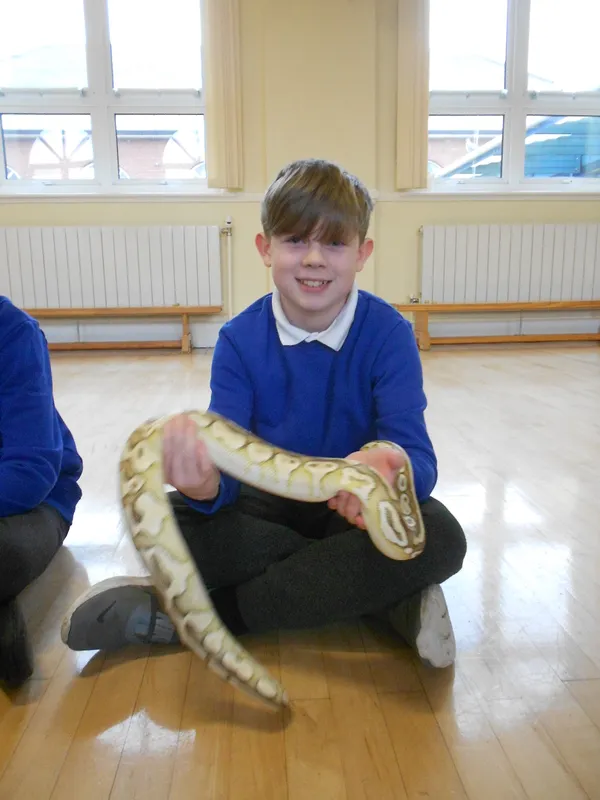 Y6 Reptile Rendezvous - image 55