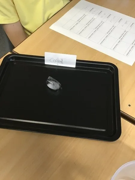 Science -gallery - image 11