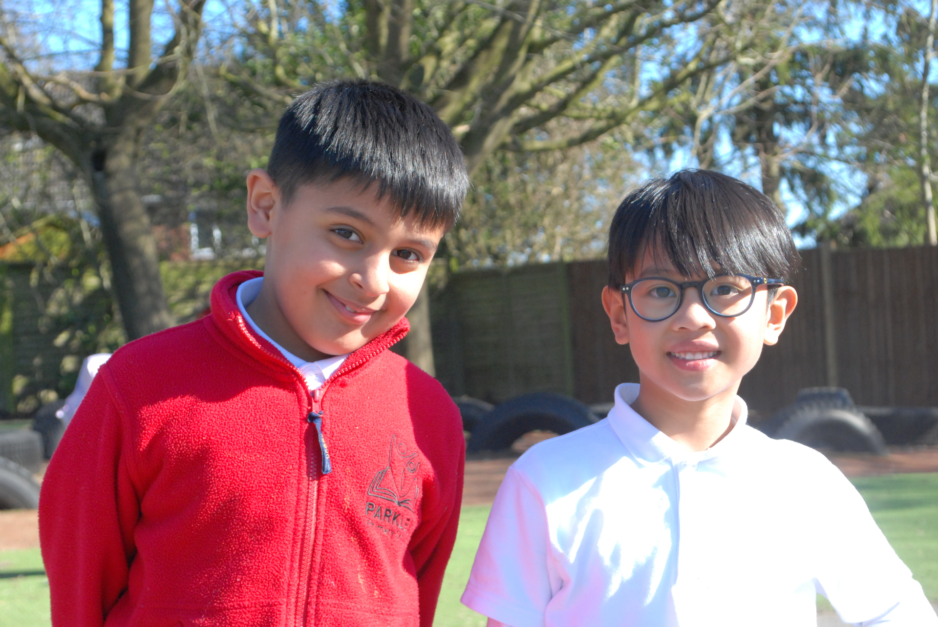 Slideshow 5