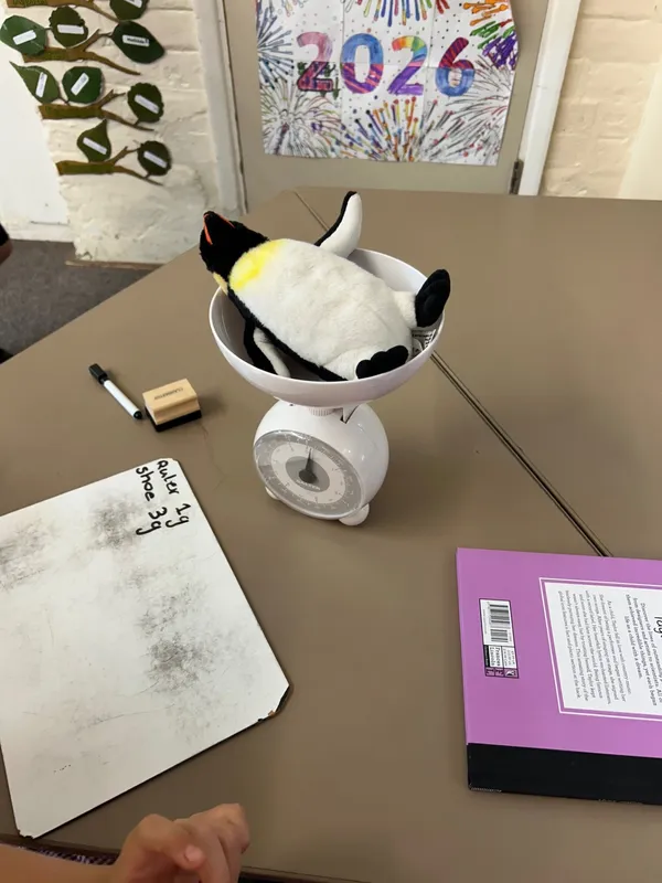 term 6 week 6 - image 14