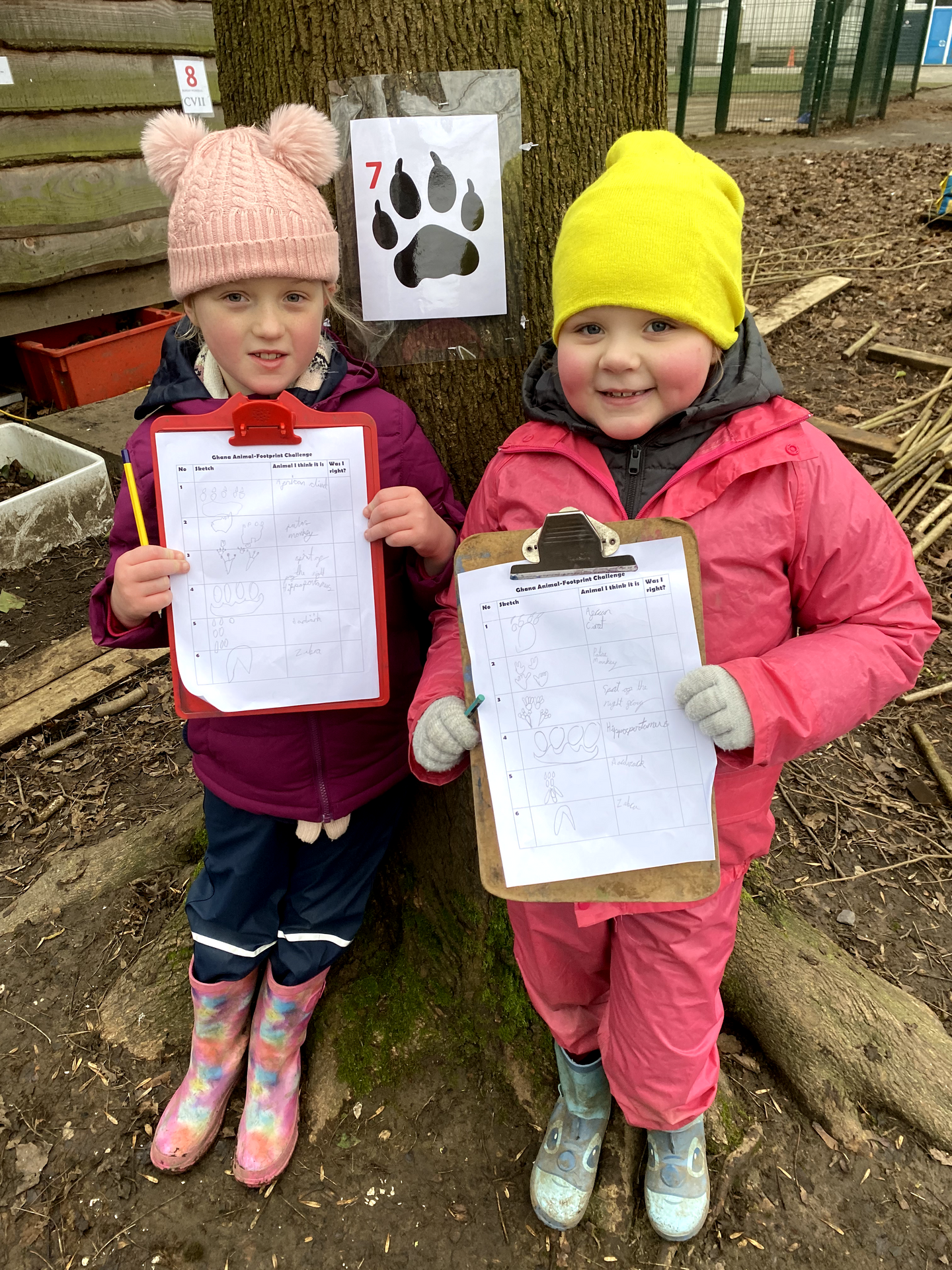 This week in TB - WC 02/02/26