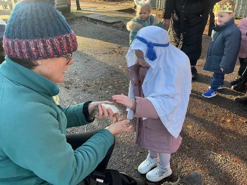 Stella farm on wheels Part 1 - image 28