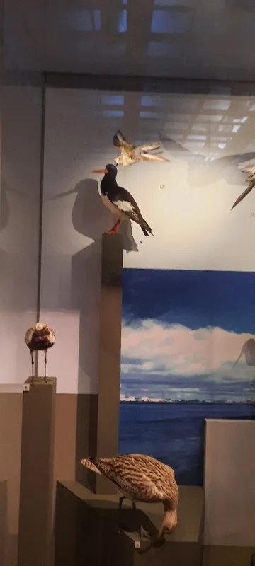 Whole School Trip to Newcastle  - image 37