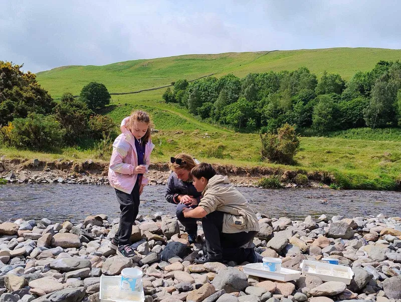 Gallery - created at 2025-06-06 10:37:45 - image 1 Gallery - created at 2025-06-06 10:37:45 - image 1