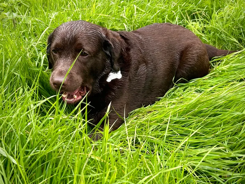 Gallery - created at 2021-06-30 13:57:57 - image 15