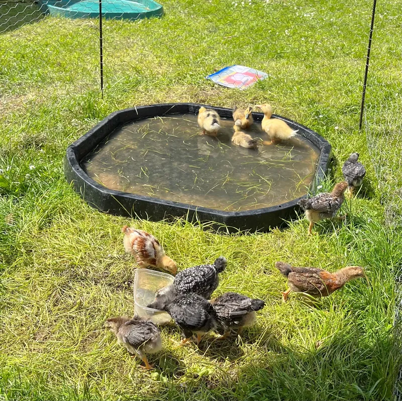 Gallery - created at 2023-05-26 11:48:29 - image 11