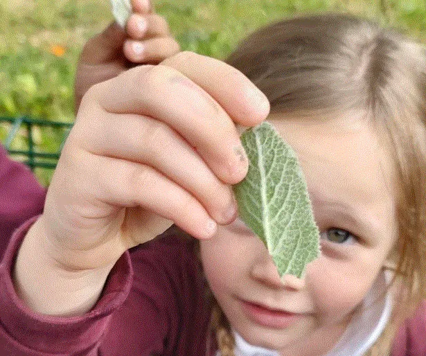 Gallery - created at 2024-05-09 15:50:24 - image 1 Gallery - created at 2024-05-09 15:50:24 - image 1