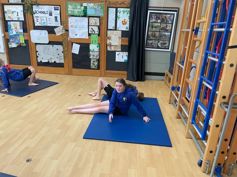In PE today, we built on work from last week and developed mirrored balances - image 2 In PE today, we built on work from last week and developed mirrored balances - image 2
