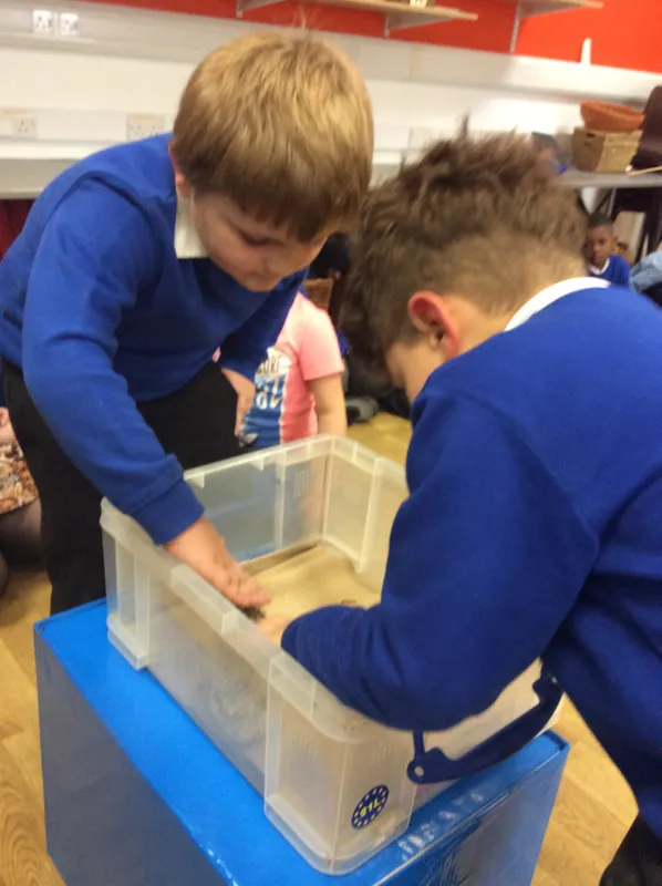 Gallery - created at 2024-03-05 13:52:56 - image 26 Gallery - created at 2024-03-05 13:52:56 - image 26