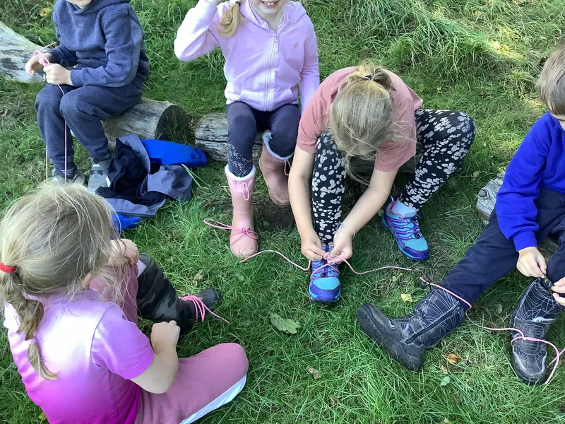 Swallows enjoying their first Forest School session - image 4 Swallows enjoying their first Forest School session - image 4