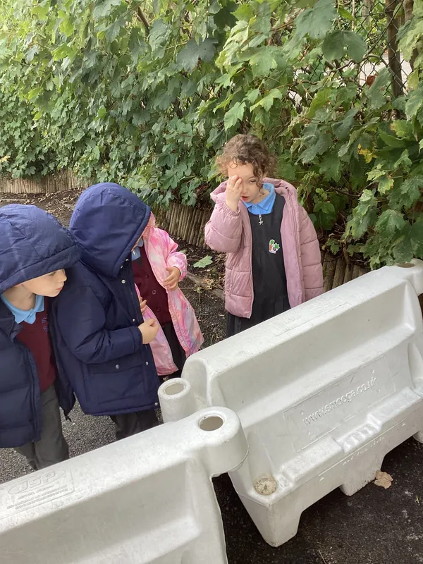 Gallery - created at 2025-09-16 16:30:01 - image 2