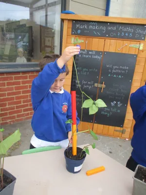Giant Beanstalks - image 26