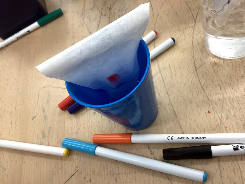 Science Week 2026 - image 36