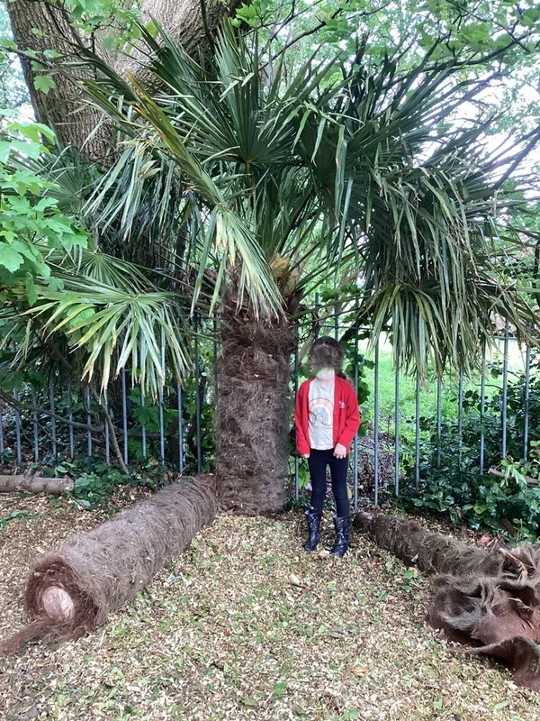 Forest School - image 2