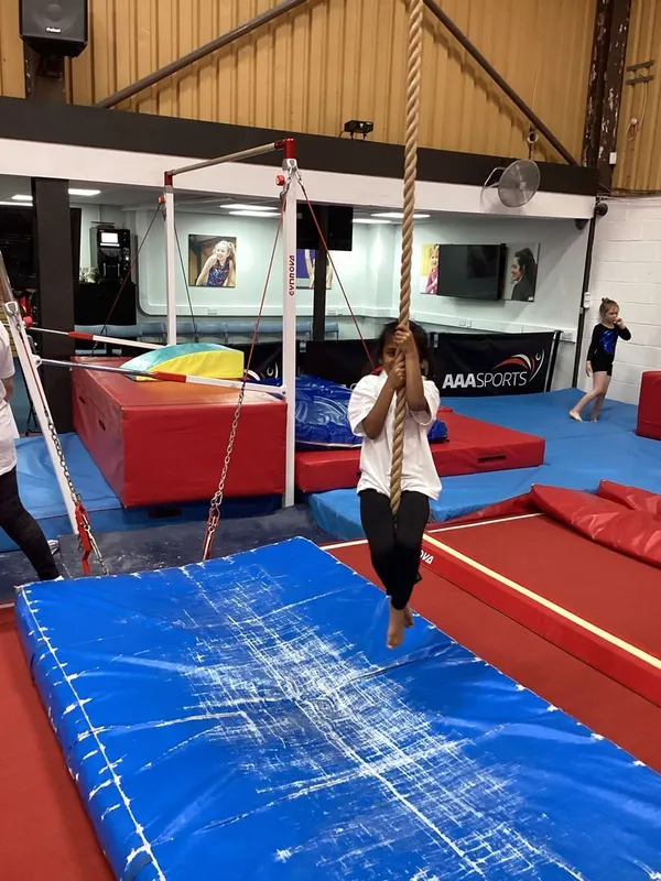 Gallery - created at 2025-05-08 11:30:38 - image 5 Gallery - created at 2025-05-08 11:30:38 - image 5