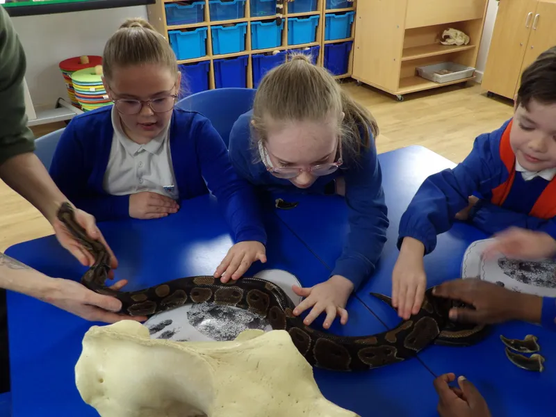Y3 Yorkshire Wildlife Park Trip - image 43