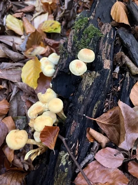 Gallery - created at 2022-10-17 20:44:00 - image 2