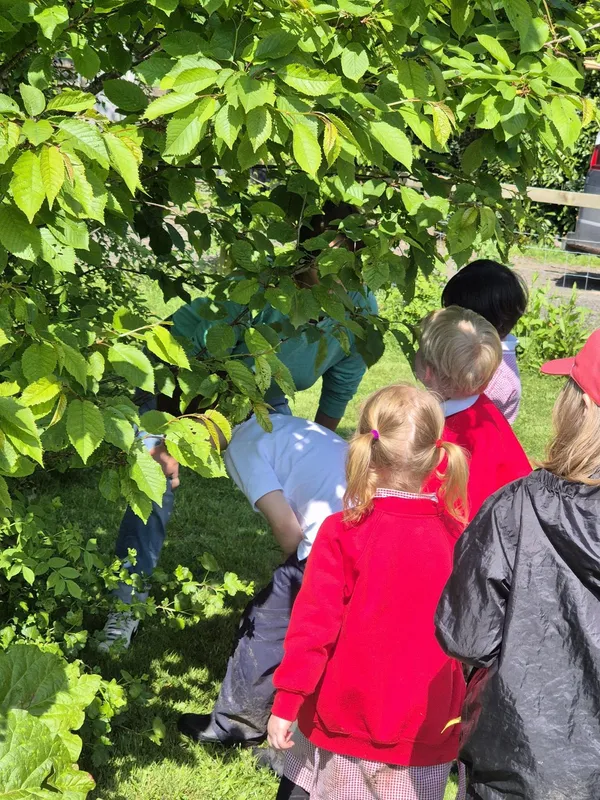 Gallery - created at 2024-05-10 11:40:23 - image 23